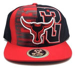 Chicago 23 Top Level 2 Tone Longhorn Snapback Hat